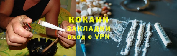 PSILOCYBIN Рославль