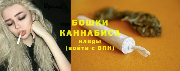 PSILOCYBIN Баксан